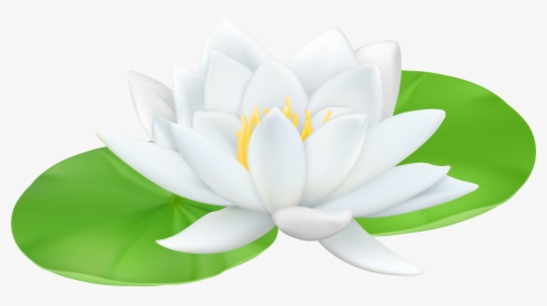Lotus - Water Lily Flower Clipart, HD Png Download, Free Download