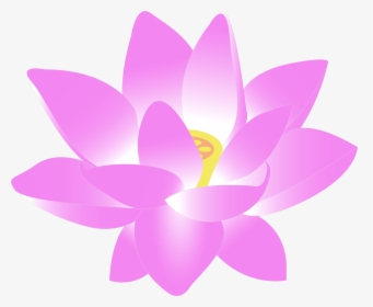 Lotus Blossom Png - Flowers Clip Art Png, Transparent Png, Free Download