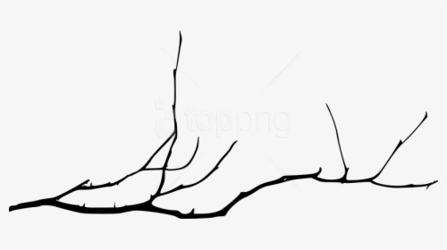 Simple Tree Branch Silhouette, HD Png Download, Free Download