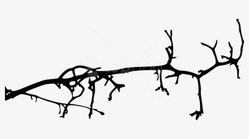 Free Png Simple Tree Branch Png - Simple Tree Branch Drawing, Transparent Png, Free Download