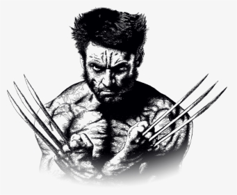 Wolverine Minerva Design Drawing - Wolverine Black And White, HD Png Download, Free Download