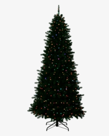 Christmas Outside Transparent Background - Christmas Tree With No Background, HD Png Download, Free Download