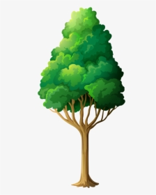 Green Tree Png Clipart - Clipart Of Trees Png, Transparent Png, Free Download