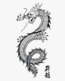Chinese Dragon Line Art, HD Png Download, Free Download