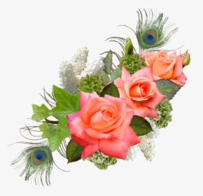 Rose, Rose Flower, Hydrangeas, Lilac, Peacock - Transparent Png Format Flower Png, Png Download, Free Download