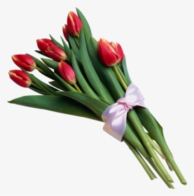 Tulip Flower Bouquet Clip Art - Flower Bouquet Transparent Background, HD Png Download, Free Download