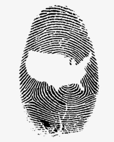 Line Art,head,symmetry - Transparent Background Fingerprint Png, Png Download, Free Download