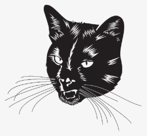 Black Cat Head With Whiskers - Black Cat Head Vector, HD Png Download, Free Download