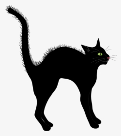 Free Clip-art, Black Cat - Black Cat, HD Png Download, Free Download