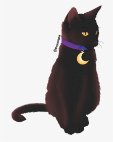 Halloween Black Cat With Moon Collar - Cat Black Cat Halloween Collar, HD Png Download, Free Download
