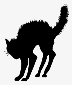 Halloween Black Cat Transparent Image - Halloween Black Cat Png, Png Download, Free Download
