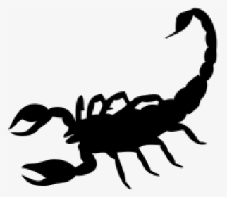 Scorpion Png Free Download - Solid Black Scorpion Tattoo, Transparent Png, Free Download