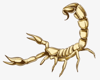 Transparent Scorpio Png - Cartoon Scorpion Transparent Background, Png Download, Free Download