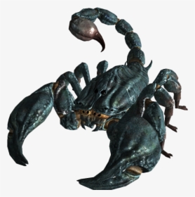 Scorpion Png Image - Radscorpion Fallout New Vegas, Transparent Png, Free Download