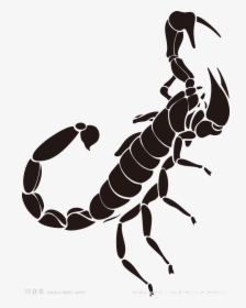 Black Scorpion Tattoo Pattern Png Download - Scorpion Motif Transparent Background, Png Download, Free Download