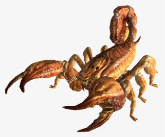 Bark Scorpion Fnv - Fallout Scorpion, HD Png Download, Free Download