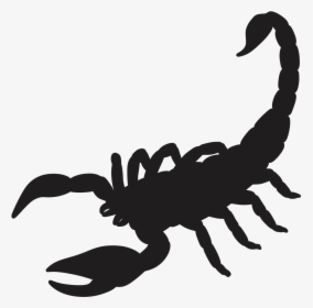 Scorpion Silhouette Drawing - Scorpion Silhouette Png, Transparent Png, Free Download