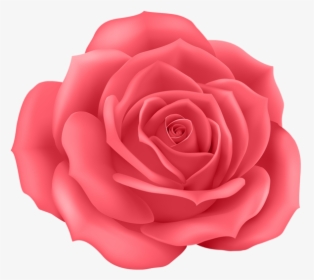 Pink Rose Png - Pink Rose Cartoon Png, Transparent Png, Free Download