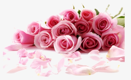 Rose Flower Desktop Wallpaper Stock - Rose Wallpaper Hd For Pc, HD Png Download, Free Download