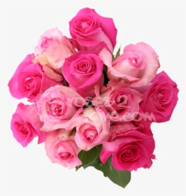 Pink Combination "  Title="hot Pink - Pink Wedding Flower Png, Transparent Png, Free Download