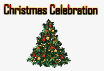 Christmas Celebration Png Free Background - Christmas Fir Tree Png, Transparent Png, Free Download