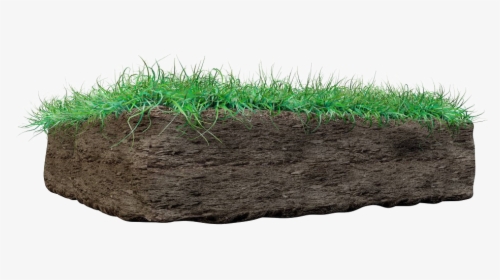 Grass On Mud Png Image - Soil And Grass Png, Transparent Png, Free Download