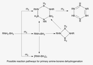 Dab Primary Revised - Ammonia Borane Dehydrogenation, HD Png Download, Free Download