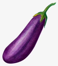 Vegetable Eggplant Food - Eggplant Vegetable, HD Png Download, Free Download