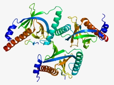 Protein Dab2 Pdb 1m7e - Dab2 Domain Structure, HD Png Download, Free Download