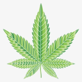 Marijuana Leaf Type Ii Prismatic - Marijuana Leaves Vector, HD Png Download, Free Download