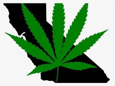 Marijuana Clipart Illegal - 420 Png, Transparent Png, Free Download