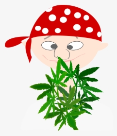Pirate, Boy, Avatar, Cannabis, Euphoria, Marijuana - Botanist Clipart, HD Png Download, Free Download