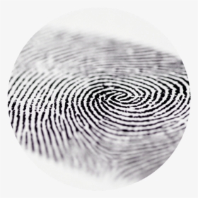 Fingerprint Technology - Finger Print Technology Png, Transparent Png, Free Download