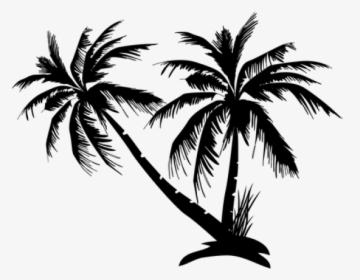 Palm Tree Silhouette Png - Palm Trees Icon Transparent Background, Png Download, Free Download