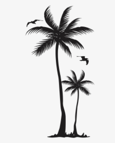 #ftestickers #birds #palmtree #tree #silhouette - Desenho De Coqueiro Para Tatuagem, HD Png Download, Free Download