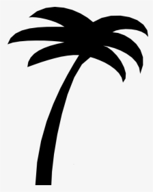 Transparent Palm Trees Clip Art - Free Palm Tree Line Art, HD Png Download, Free Download