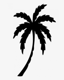 Tree Clipart Dinosaur Free - Palm Tree Clipart Transparent, HD Png Download, Free Download