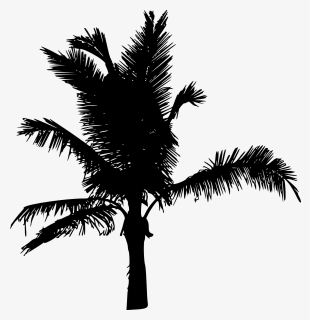 20 Palm Tree Silhouette Vol, HD Png Download, Free Download