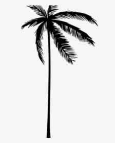 Palm Tree Silhouette Png - Vector Png Palm Tree, Transparent Png, Free Download