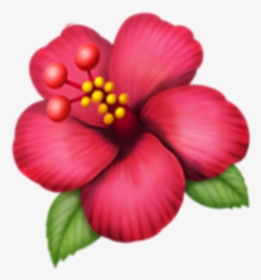 Hawaiian-hibiscus - Hawaiian Hibiscus, HD Png Download, Free Download