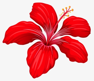 Red Flowers Png Transparent, Png Download, Free Download