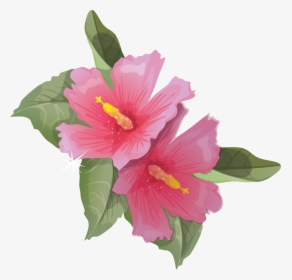Hibiscus Animation Flower Clip Art - Hibiscus Flower Transparent Background, HD Png Download, Free Download