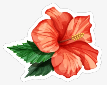 Transparent Hibiscus Flower Png - Realistic Hibiscus Flower Drawing, Png Download, Free Download