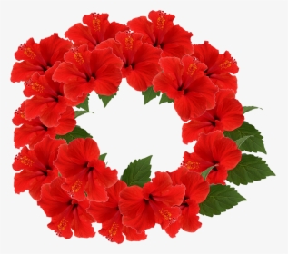 Hibiscus, Crown, Flower, Crown Flower, Red, Decoration - Hibiscus Flower Crown, HD Png Download, Free Download