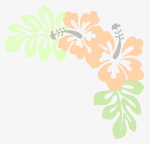 Peach Gray Hibiscus Svg Clip Arts - Hibiscus, HD Png Download, Free Download