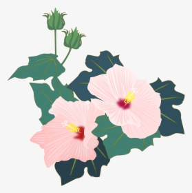 Hibiscus Mutabilis Flower Icon, HD Png Download, Free Download