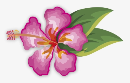 Chinese Hibiscus - Hawaiian Hibiscus, HD Png Download, Free Download