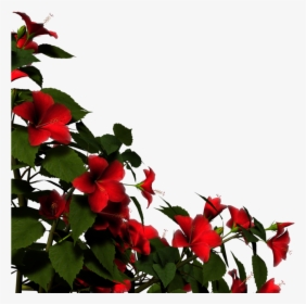 Hibiscus Bush Png - Corner Border Red Rose Png, Transparent Png, Free Download