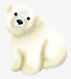 Polar Bear Alpha, HD Png Download(910x480) - PngFind