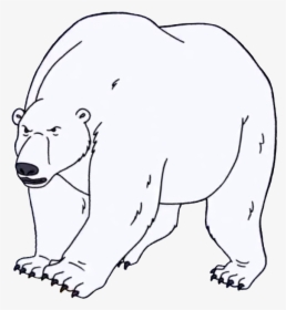 Polar Bear , Transparent Cartoons - Regular Show Polar Bear, HD Png Download, Free Download